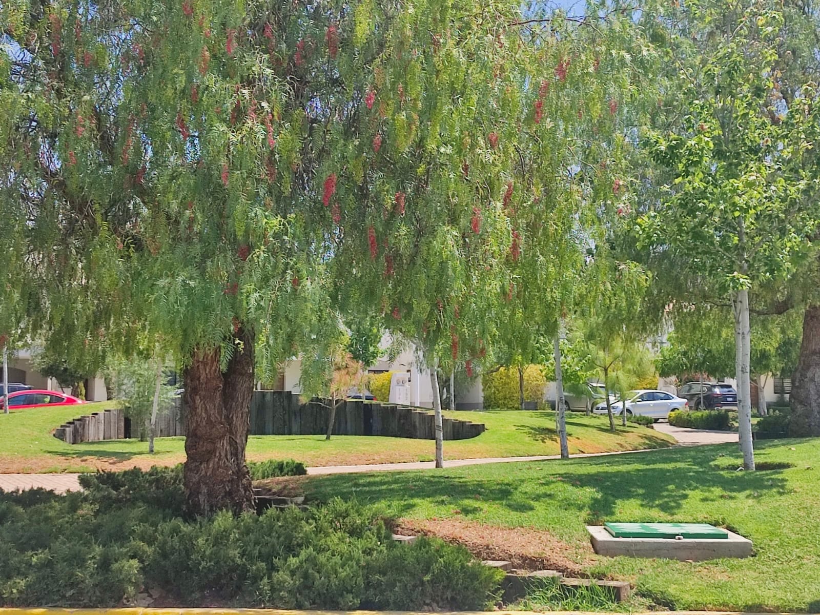 bosques-areas-verdes