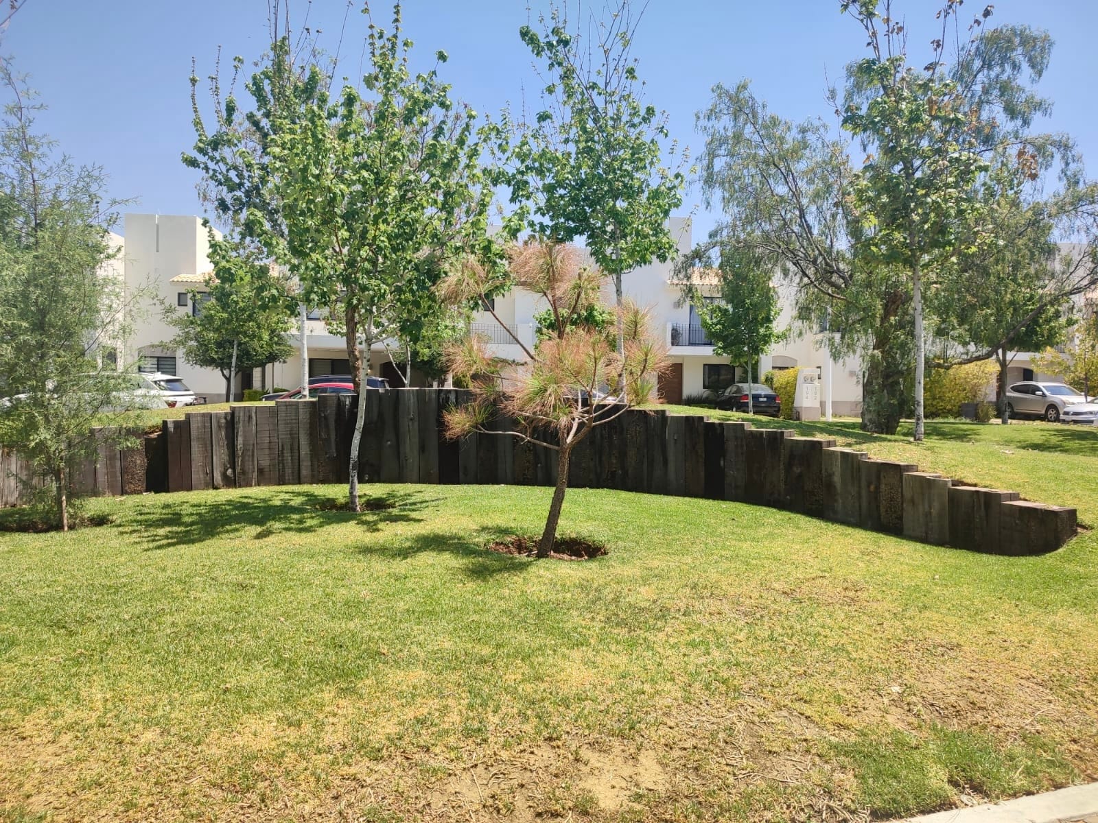 bosques-areas-verdes