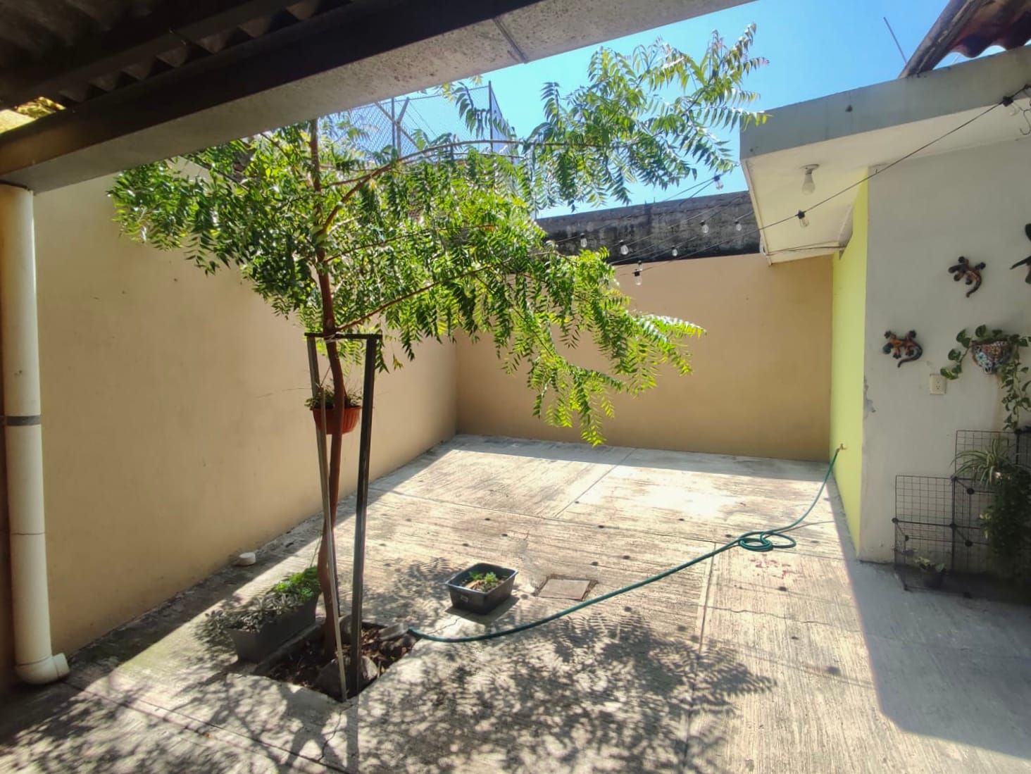 luis-moya-1-patio